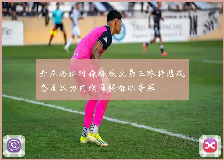 丹尼格林对森林狼交易三球持悲观态度认为内线薄弱难以争冠