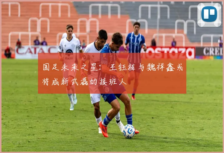 国足未来之星：王钰栋与魏祥鑫或将成新武磊的接班人