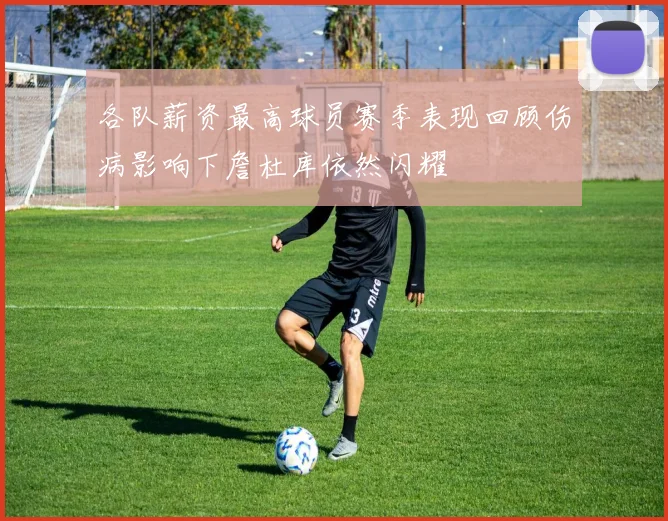 各队薪资最高球员赛季表现回顾伤病影响下詹杜库依然闪耀