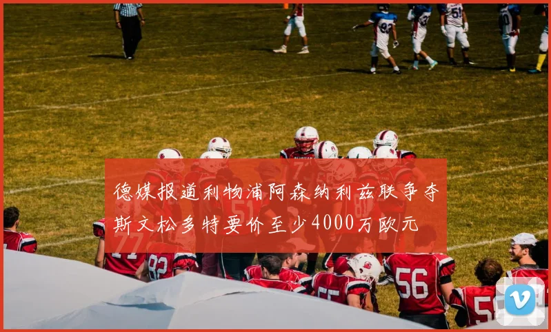 德媒报道利物浦阿森纳利兹联争夺斯文松多特要价至少4000万欧元